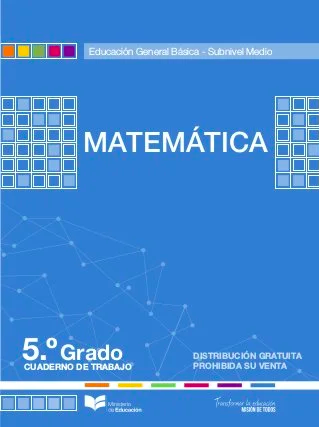 Cuaderno de trabajo de matemáticas quinto grado